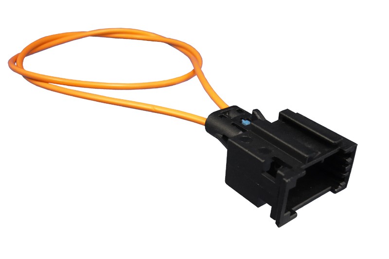 LWL Brücke weiblich